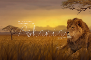 Askania: Infusing Projects with a Cute, Authentic Charm