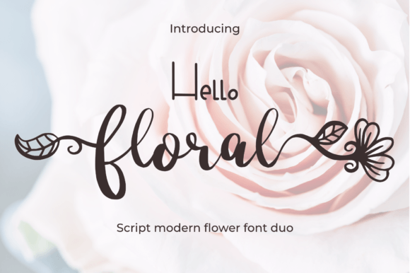 Discover the Charm of Hello Floral for Modern Design