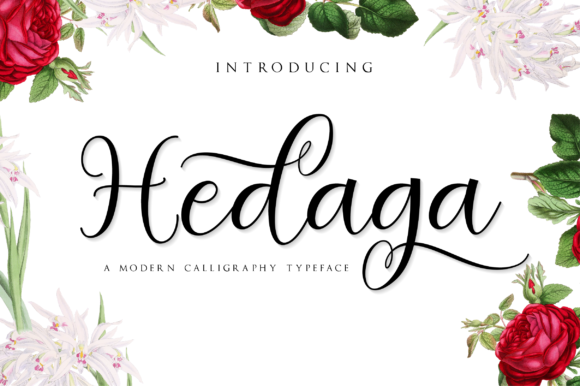 Hedaga: A Script Font for Romantic, Playful Branding