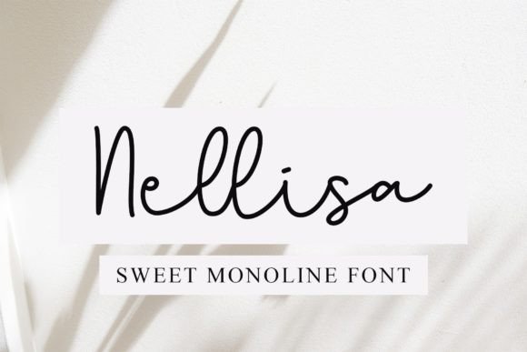 Nellisa: A Bouncy Sweet Script for Modern Design