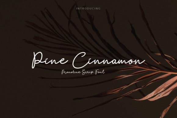 Pine Cinnamon: A Hand-Drawn Script Font with Organic Warmth