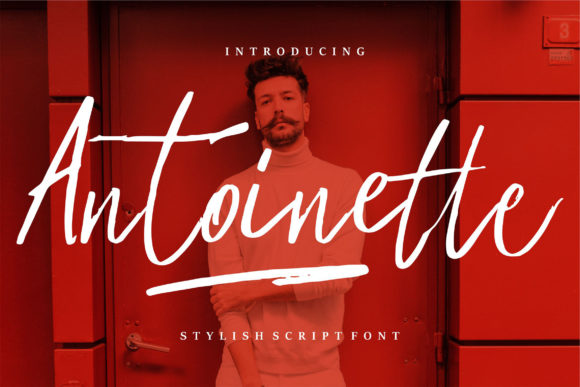 The Romantic Allure of Antoinette: A Designer's Guide
